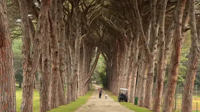Nacionalni park Brijuni, Croatia